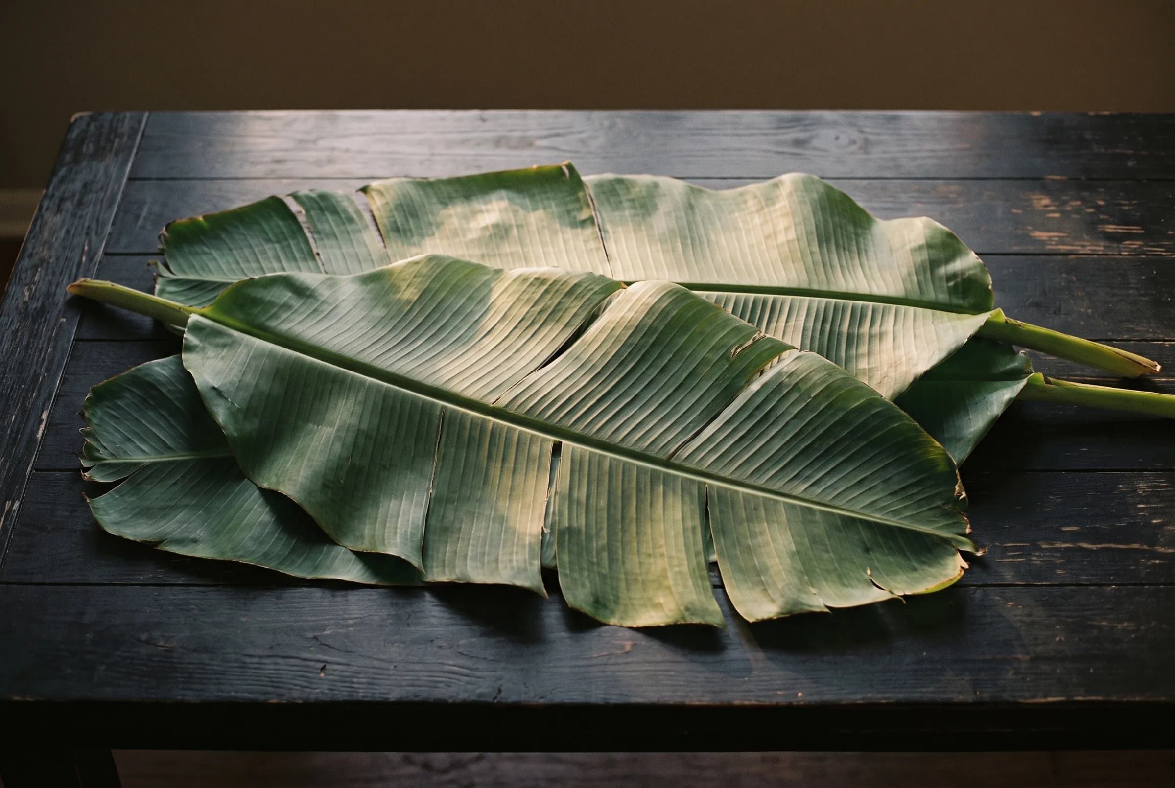 Banana leaves laid across a dark wooden table